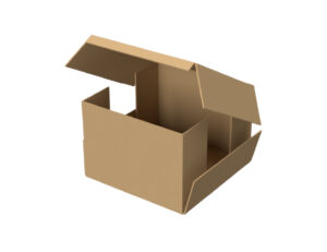 Box 101 | Custom Packaging Solutions from Pratt Industries